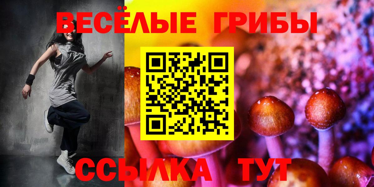 Галлюциногенные грибы мицелий  Вход с VPN  Губкин  Псилоцибиновые грибы Psilocybe 